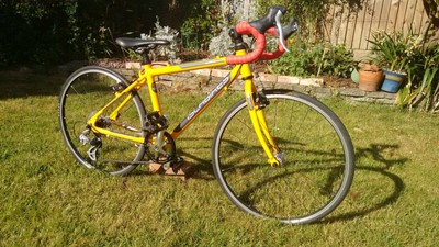 islabike luath 24 for sale